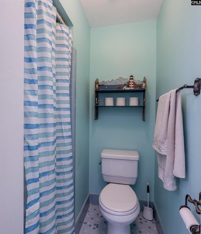 540 Lakeshore Drive, Chapin, SC 29036