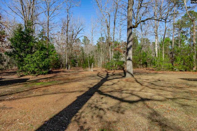 540 Lakeshore Drive, Chapin, SC 29036