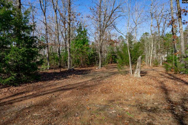 540 Lakeshore Drive, Chapin, SC 29036