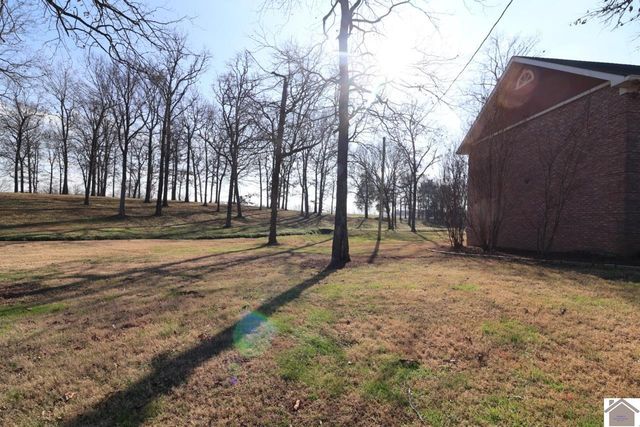 2933 trace creek church rd, Mayfield, KY 42066