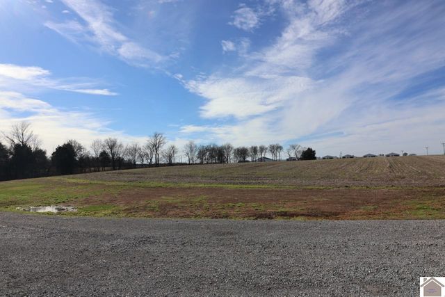 2933 trace creek church rd, Mayfield, KY 42066