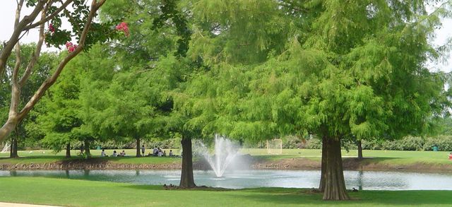 1508 Comanche Drive, Allen, TX 75013