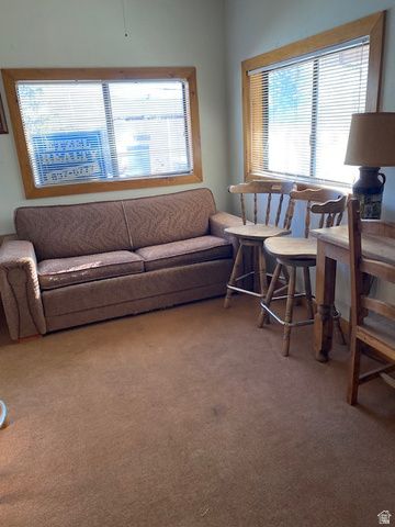 913 E 5300 N, Scofield, UT 84526