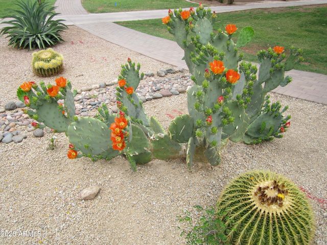 4303 E CACTUS Road 419, Phoenix, AZ 85032