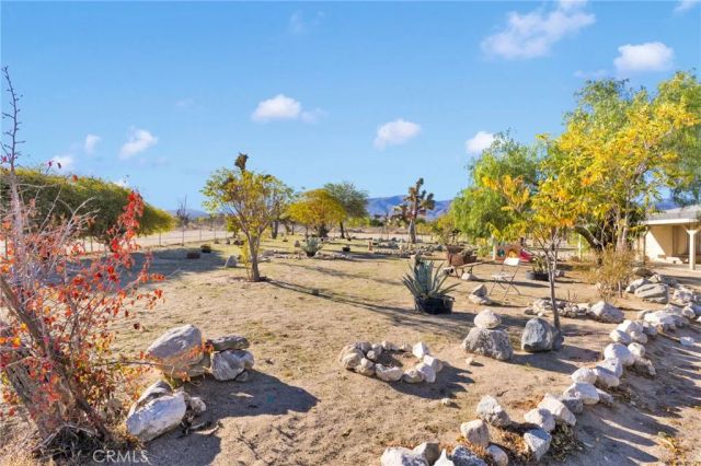 11924 Mountain Road, Pinon Hills, CA 92372