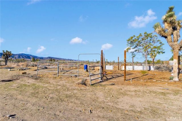 11924 Mountain Road, Pinon Hills, CA 92372