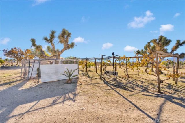 11924 Mountain Road, Pinon Hills, CA 92372