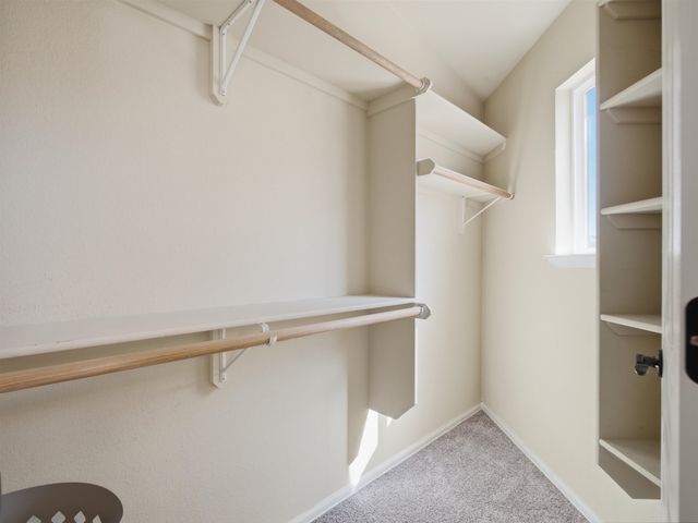 2869 Sophia Way, Grand Junction, CO 81501