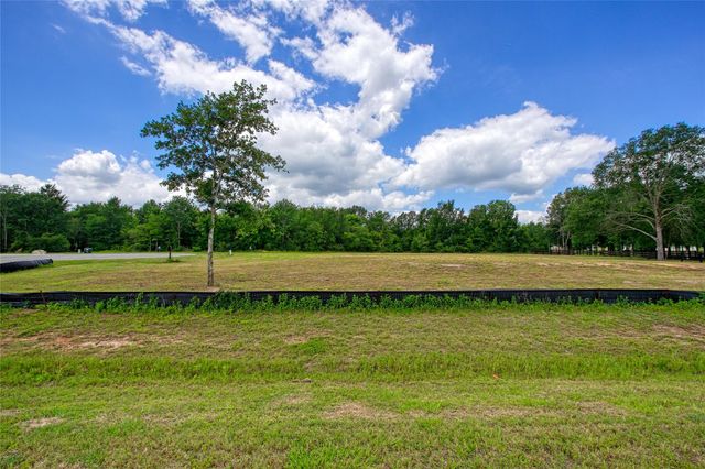 25004 Chapel Bend Court, Montgomery, TX 77356