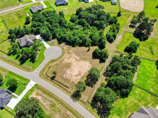 25004 Chapel Bend Court, Montgomery, TX 77356