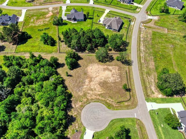 25004 Chapel Bend Court, Montgomery, TX 77356