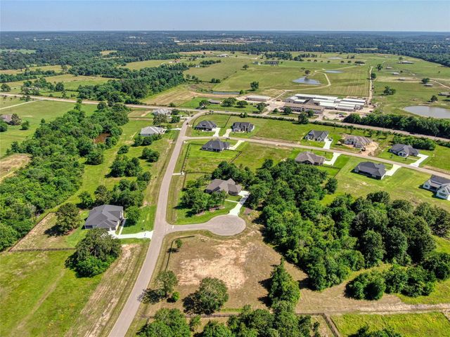 25004 Chapel Bend Court, Montgomery, TX 77356