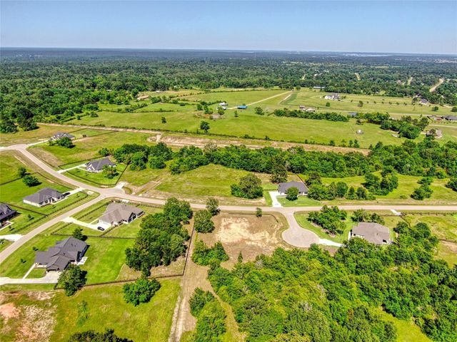 25004 Chapel Bend Court, Montgomery, TX 77356