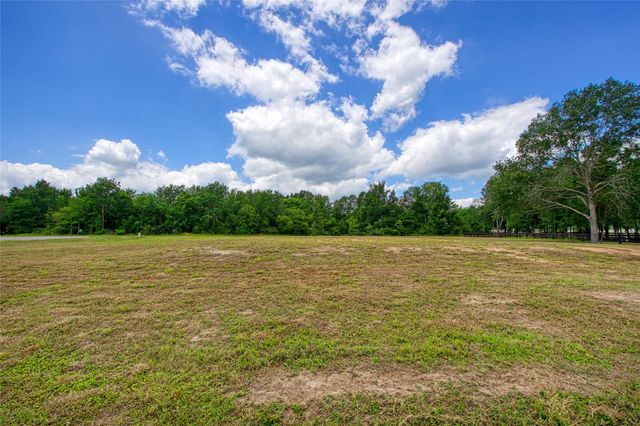 25004 Chapel Bend Court, Montgomery, TX 77356
