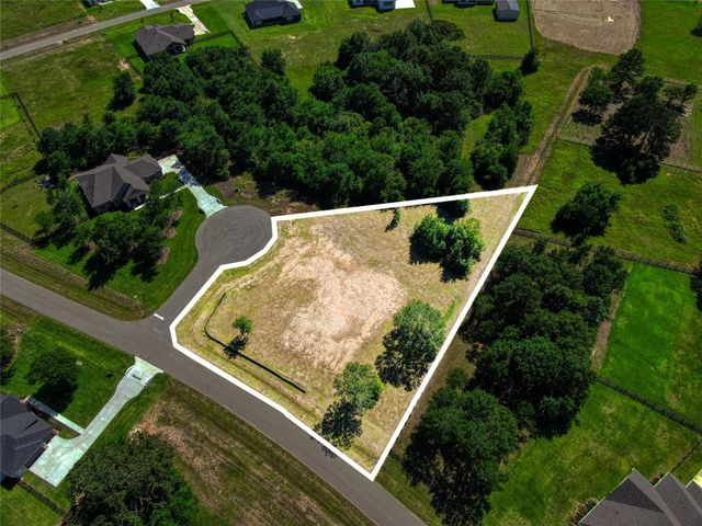 25004 Chapel Bend Court, Montgomery, TX 77356