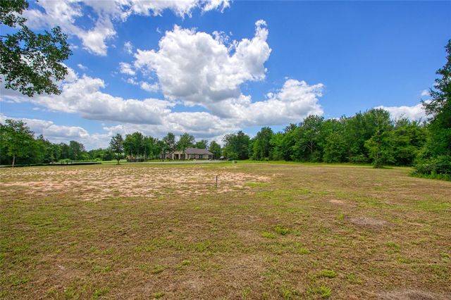 25004 Chapel Bend Court, Montgomery, TX 77356