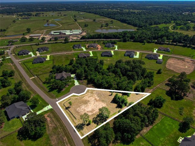 25004 Chapel Bend Court, Montgomery, TX 77356