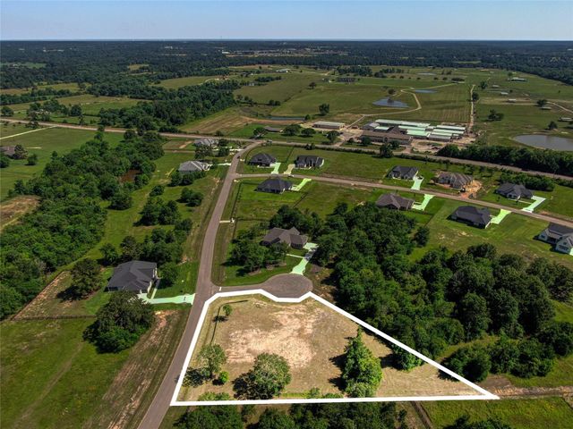 25004 Chapel Bend Court, Montgomery, TX 77356