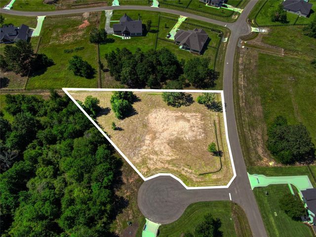 25004 Chapel Bend Court, Montgomery, TX 77356