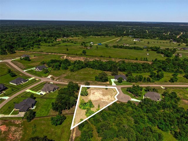 25004 Chapel Bend Court, Montgomery, TX 77356