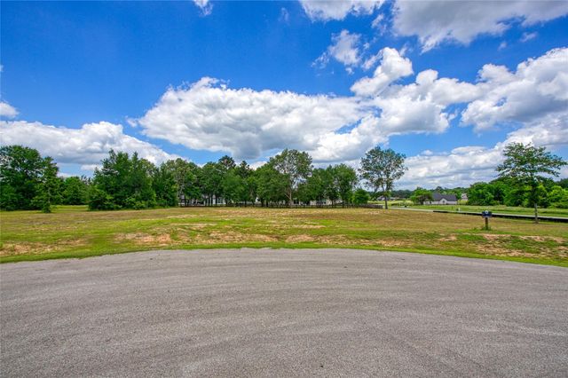 25004 Chapel Bend Court, Montgomery, TX 77356