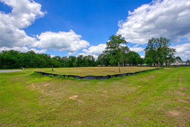 25004 Chapel Bend Court, Montgomery, TX 77356