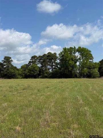 TBD CR 3147, Tyler, TX 75706