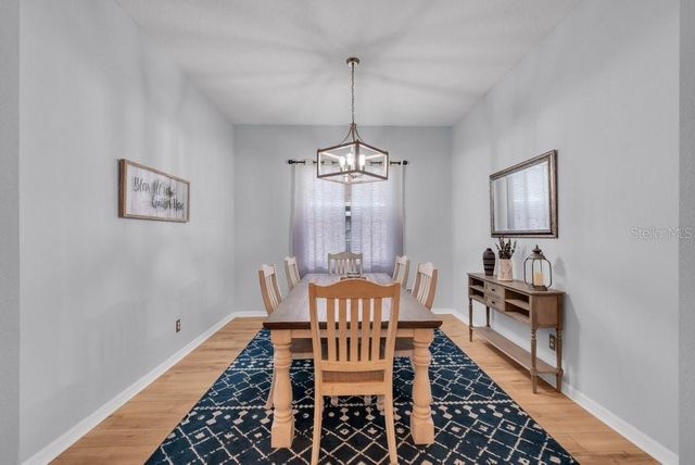 16315 BRIDGELAWN AVENUE, Lithia, FL 33547