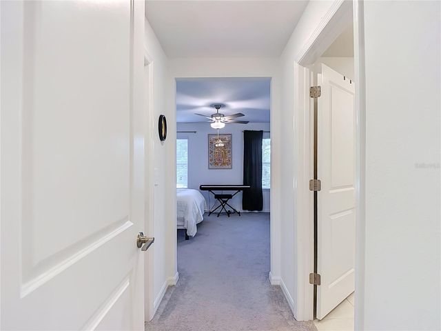 6279 SHINER STREET, Land O Lakes, FL 34638