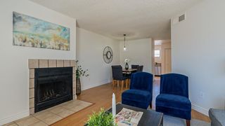 11640 N 51st Avenue Apt 246, Glendale, AZ 85304