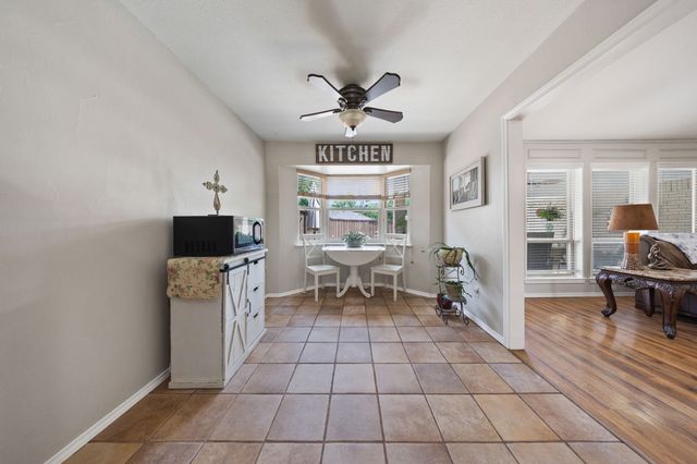 1521 Baffin Bay Drive, Plano, TX 75075