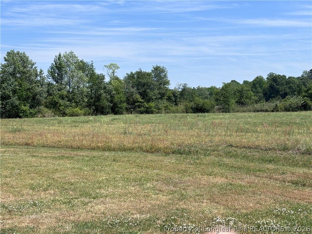 Backswamp Road, Lumberton, NC 28358 — photo 10