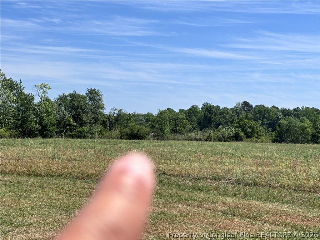Backswamp Road, Lumberton, NC 28358 — photo 7