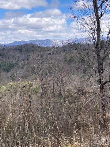 124 Summit Tower Circle, Asheville, NC 28804