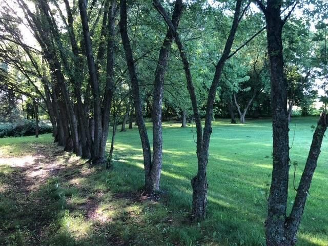 21276 County Road 7, Saint Augusta, MN 56301