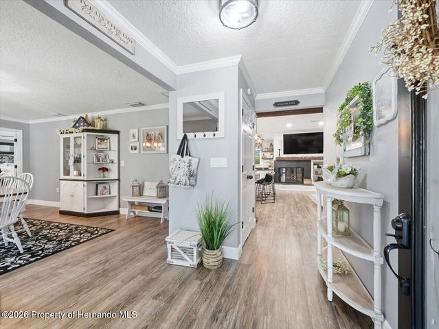 11503 Trumbull Drive, Spring Hill, FL 34609