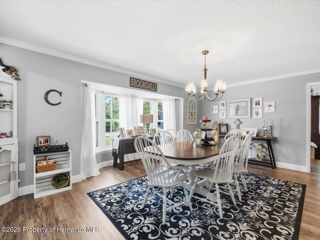 11503 Trumbull Drive, Spring Hill, FL 34609