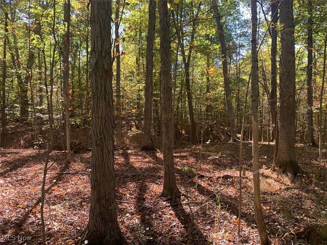 19345 Ridge Road, North Royalton, OH 44133