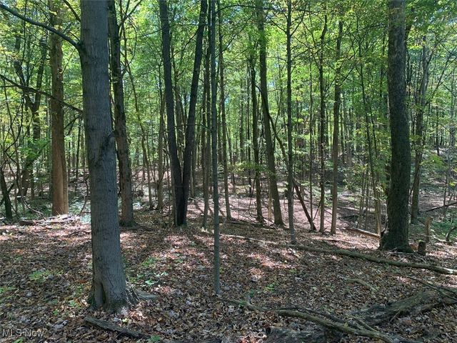 19345 Ridge Road, North Royalton, OH 44133