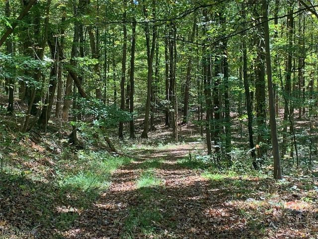 19345 Ridge Road, North Royalton, OH 44133