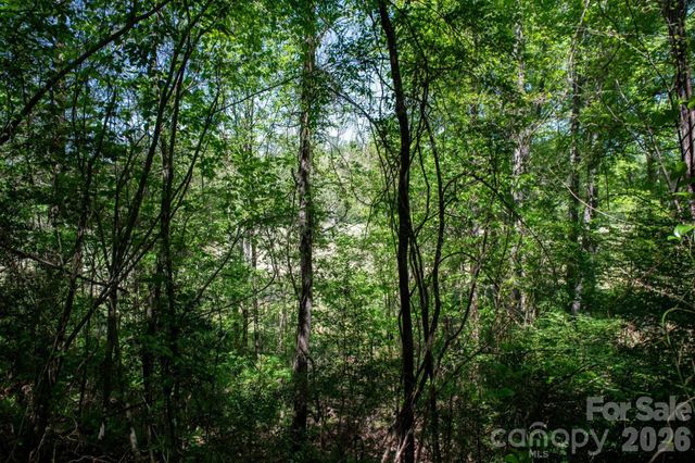 TBD Rockwood Drive, Lenoir, NC 28645