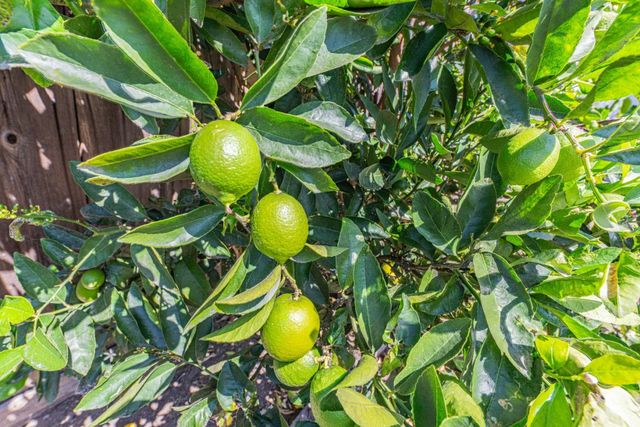 43 Saint Brendan Way, Salinas, CA 93906