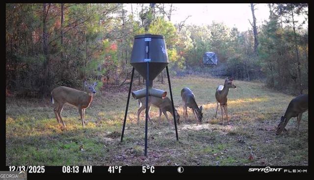 301 Beaver Dam Road, Toomsboro, GA 31090