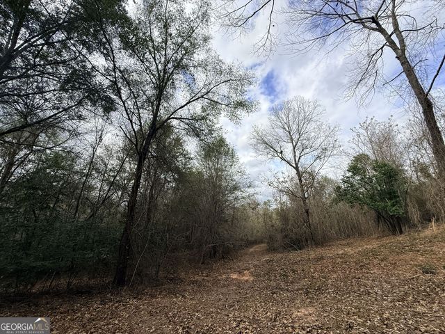 301 Beaver Dam Road, Toomsboro, GA 31090