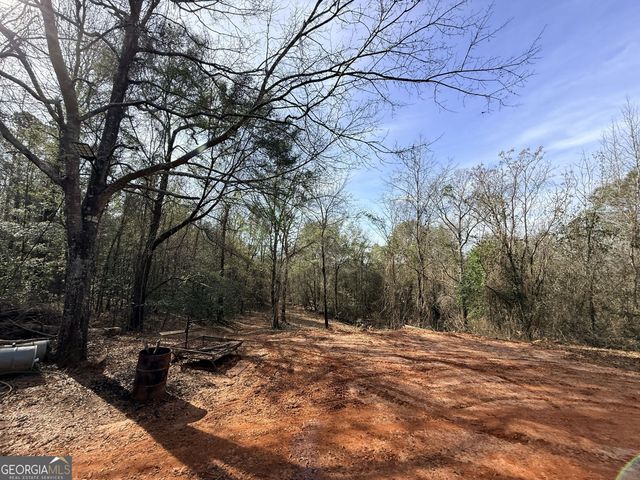 301 Beaver Dam Road, Toomsboro, GA 31090