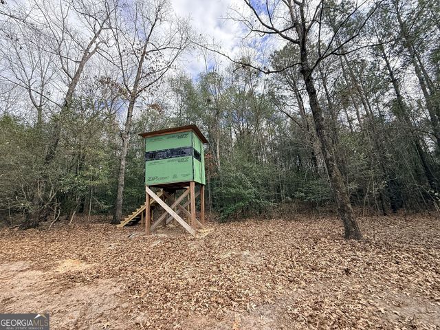 301 Beaver Dam Road, Toomsboro, GA 31090