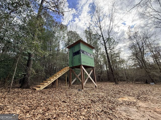 301 Beaver Dam Road, Toomsboro, GA 31090