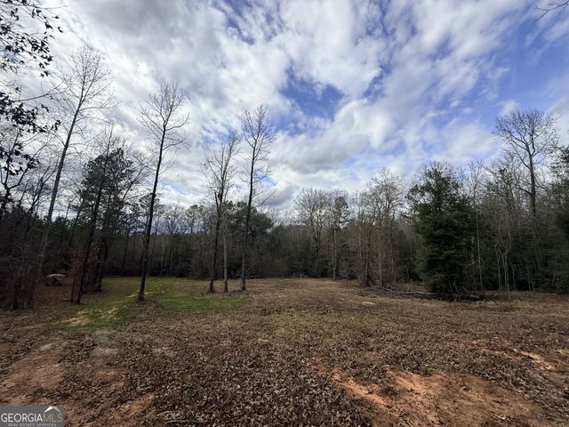 301 Beaver Dam Road, Toomsboro, GA 31090