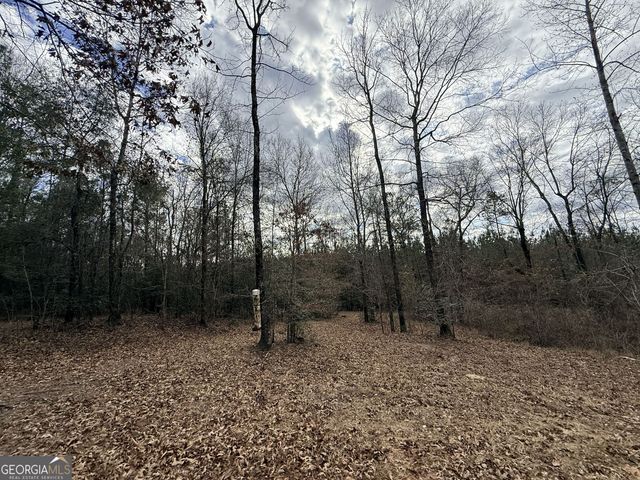 301 Beaver Dam Road, Toomsboro, GA 31090