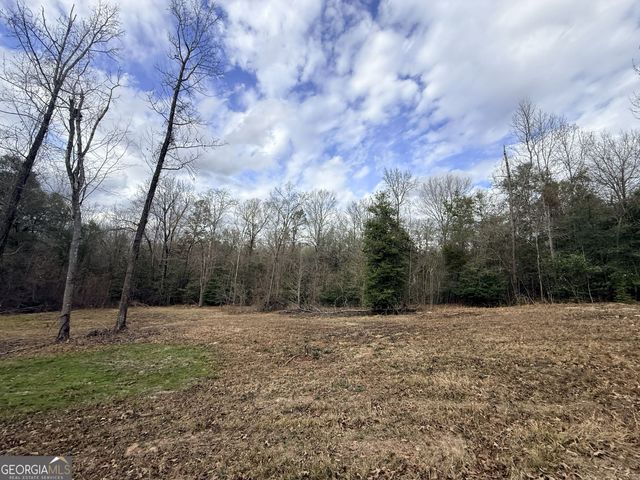301 Beaver Dam Road, Toomsboro, GA 31090